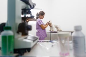 Jovem mulher latina no trabalho como veterinária. Médico animal visitando animal de estimação doente na clínica e verificando orelhas de cão. Limpeza feita com produtos profissionais de limpeza presentes na nossa lista.